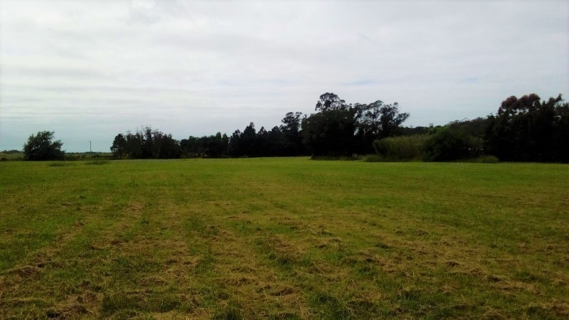 Excelente chacra en Ruta 104 Manantiales en venta y alquiler