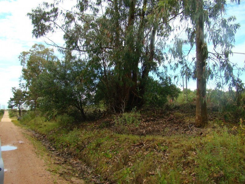 Exclusivo terreno en Balneario Buenos Aires