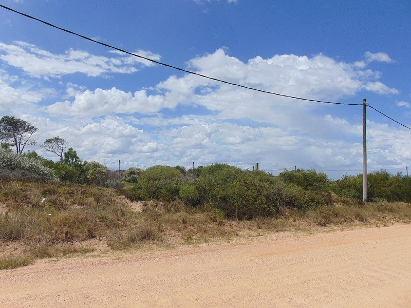Se venden tres terrenos a pasos del mar 