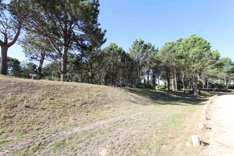Terreno en venta en Pinar del Faro