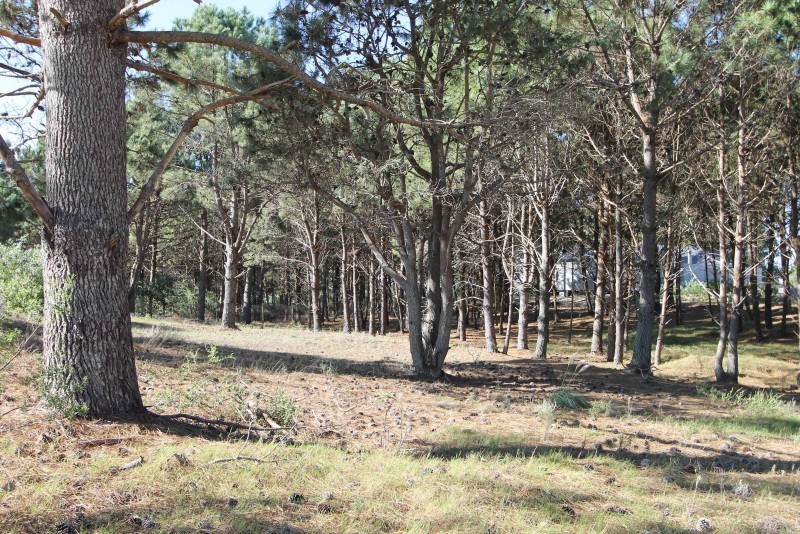Terreno en venta en Pinar del Faro