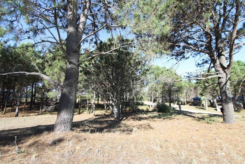 Terreno en venta en Pinar del Faro