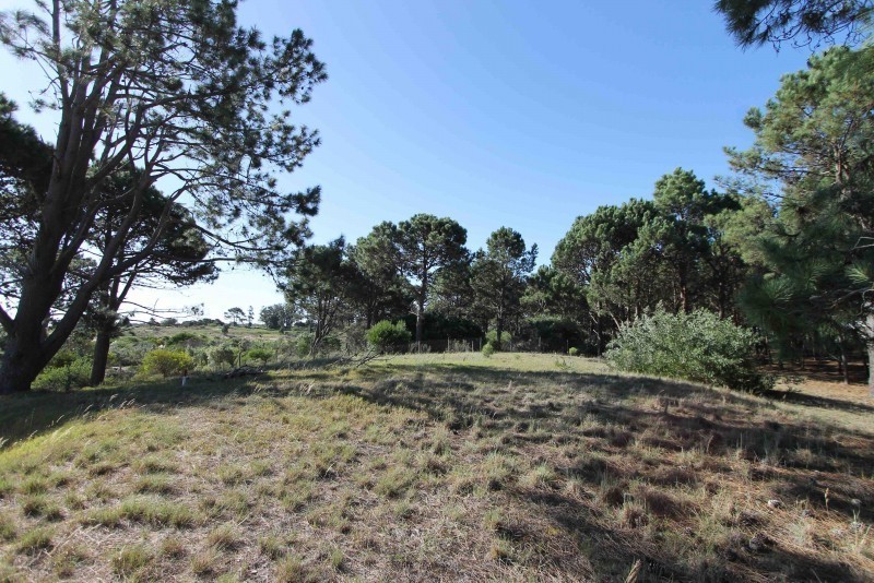 Terreno en venta en Pinar del Faro