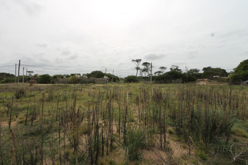 Terreno en La Juanita José Ignacio