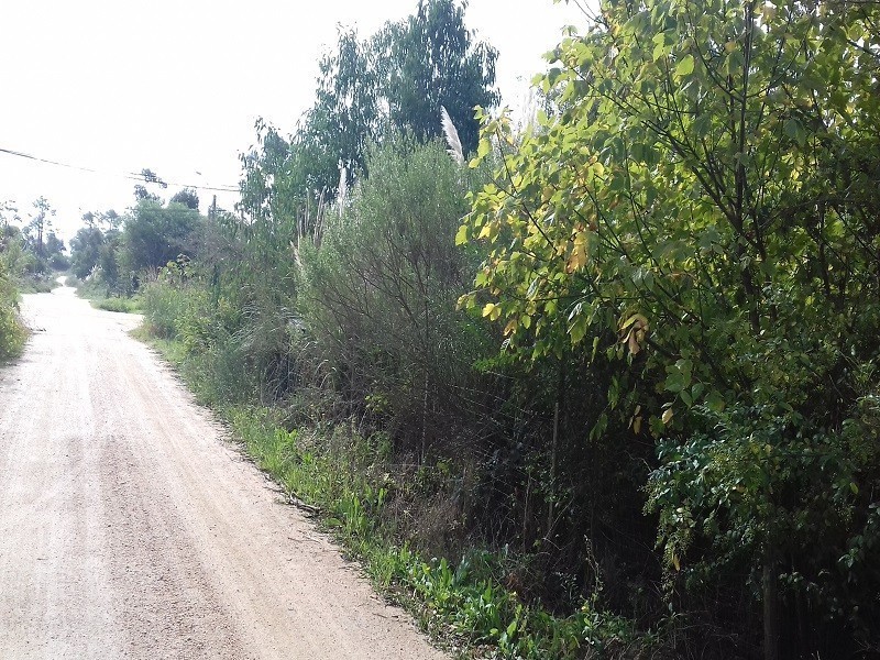 Terreno, Venta ,Balneario Bs. As.