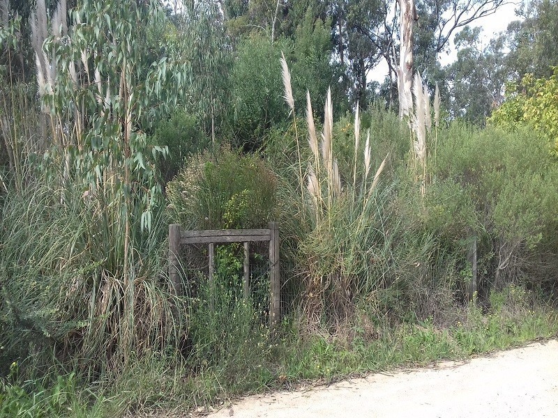 Terreno, Venta ,Balneario Bs. As.