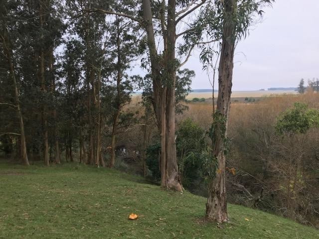 Chacra en venta en zona de medellin