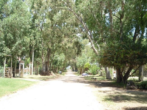 Hermosos terrenos en excelente ubicación a una cuadra y media del mar.