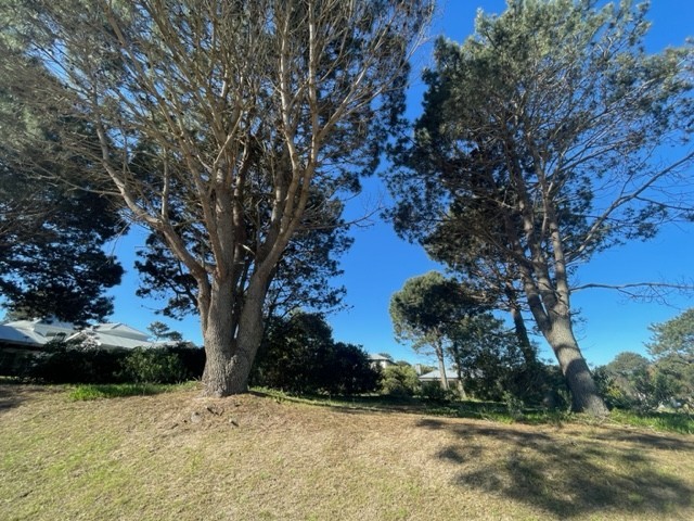Lote en barrio privado en Jose ignacio