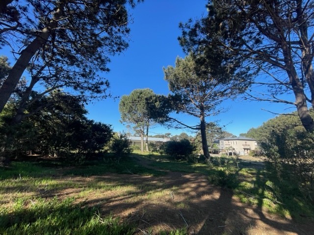 Lote en barrio privado en Jose ignacio