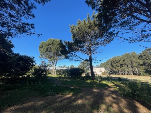Lote en barrio privado en Jose ignacio