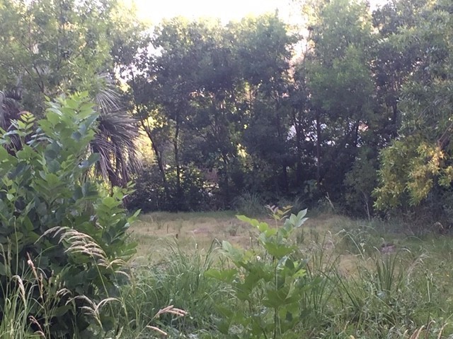Terreno en venta en el Tesoro