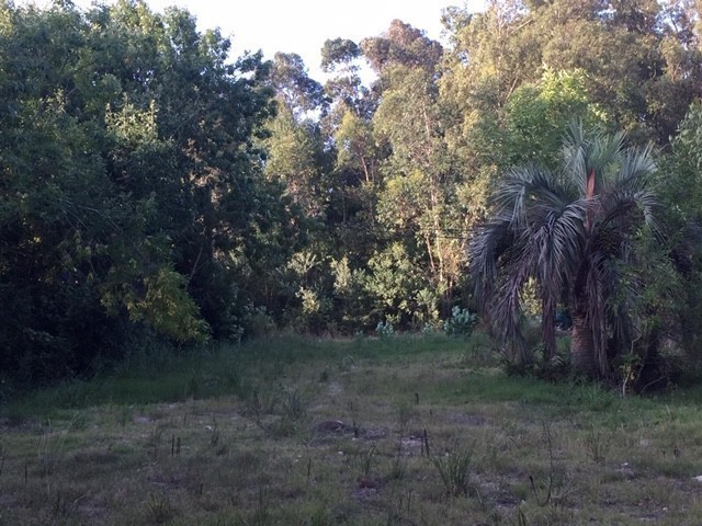 Terreno en venta en el Tesoro