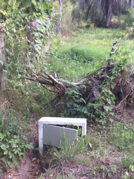 Terreno en venta en el Tesoro