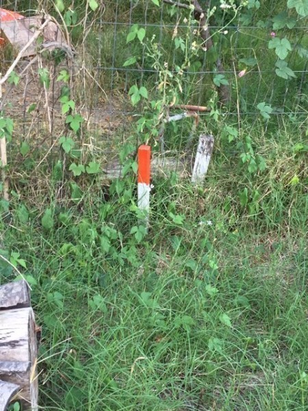 Terreno en venta en el Tesoro