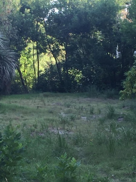 Terreno en venta en el Tesoro