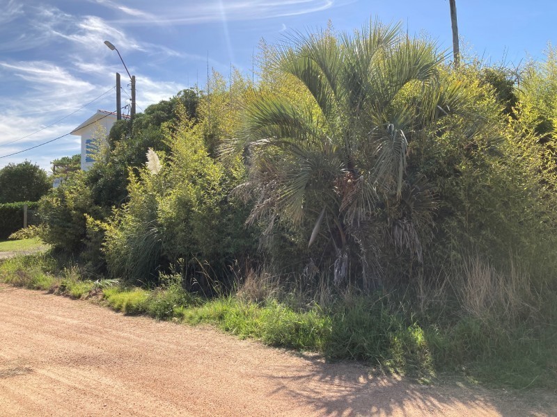 Lote en venta en El Chorro