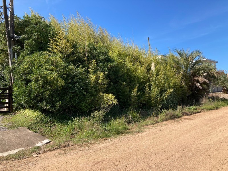 Lote en venta en El Chorro