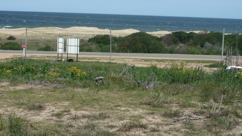 11 lotes en venta sobre ruta en Altos de Punta Piedras.