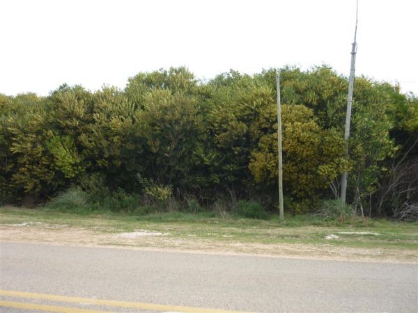 Terreno en venta en sobre Ruta 104