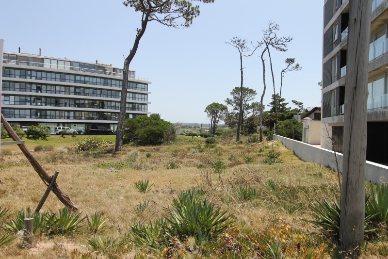 Terreno frente a la mansa apto para edificio bajo