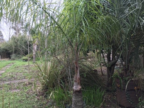 Terreno en venta en el Tesoro La Barra