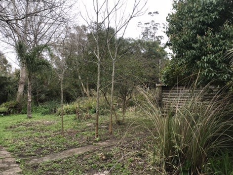 Terreno en venta en el Tesoro La Barra