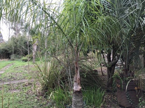 Terreno en venta en el Tesoro La Barra