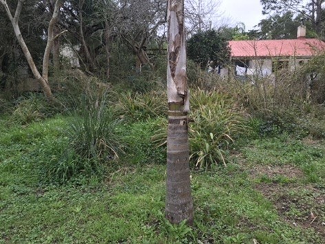 Terreno en venta en el Tesoro La Barra