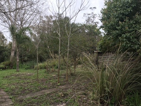 Terreno en venta en el Tesoro La Barra