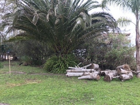 Terreno en el Tesoro con cabaña