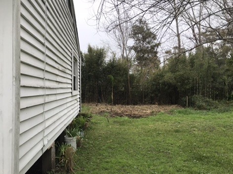 Terreno en el Tesoro con cabaña