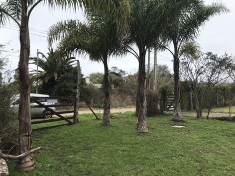 Terreno en el Tesoro con cabaña