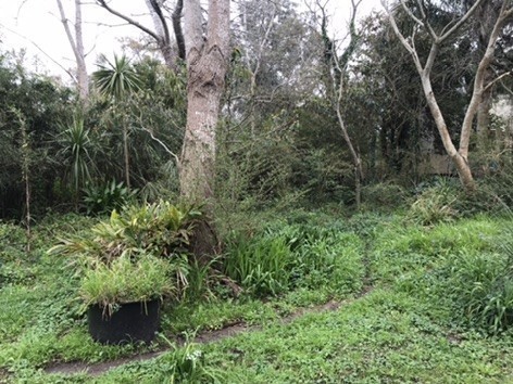 Terreno en el Tesoro con cabaña