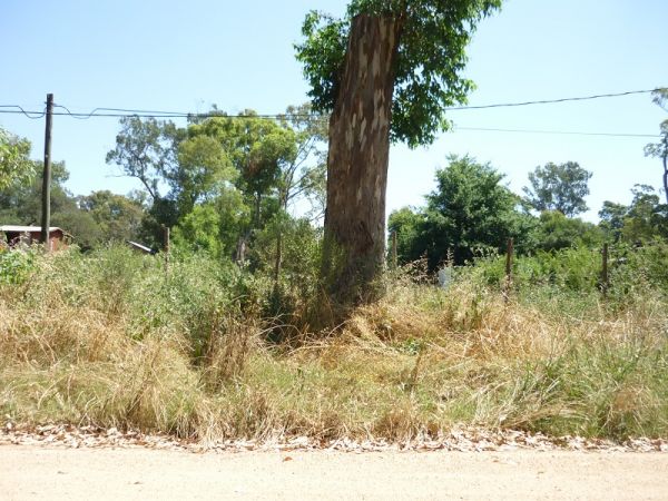 Terreno en venta en Balneario Buenos Aires.
