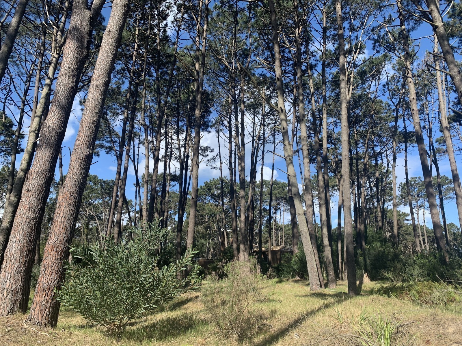 Lote en venta en Laguna Blanca