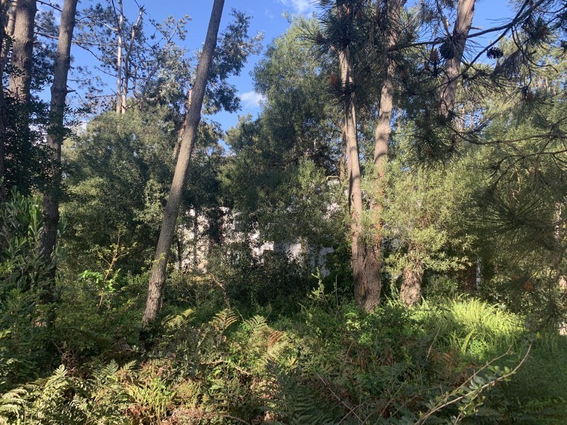 Terreno en venta en Laguna Blanca