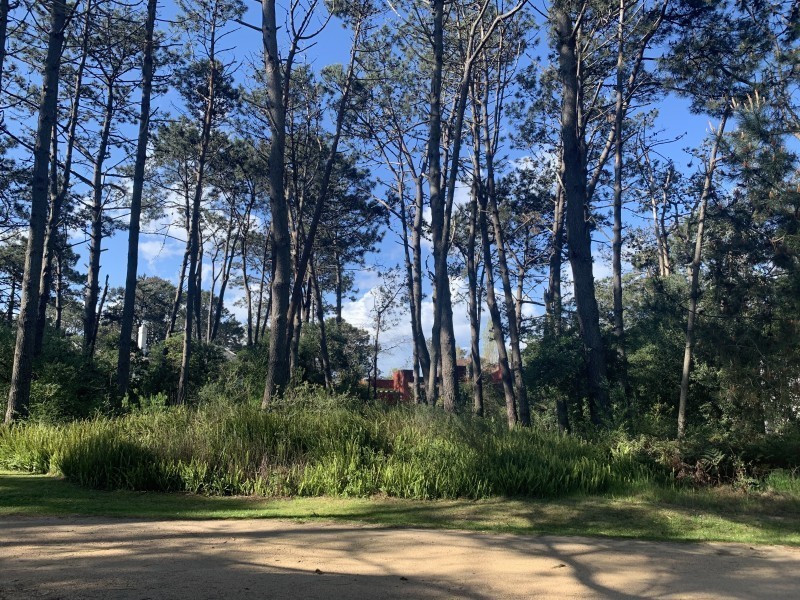 Terreno en venta en Laguna Blanca