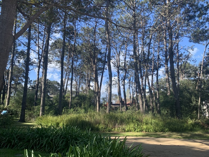 Terreno en venta en Laguna Blanca