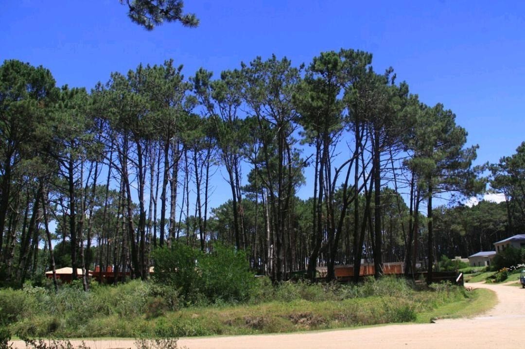 Terreno esquinero en Laguna Blanca