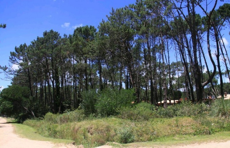 Terreno esquinero en Laguna Blanca