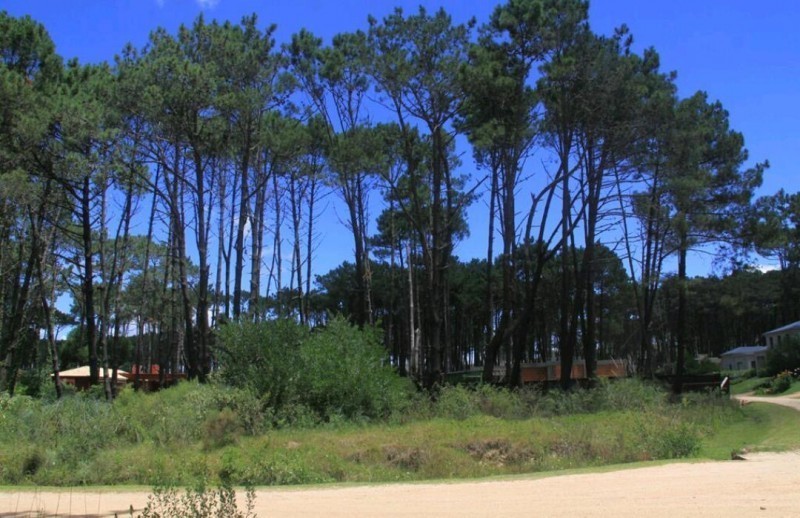 Terreno esquinero en Laguna Blanca