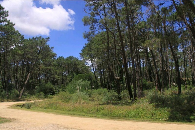 Terreno esquinero en Laguna Blanca