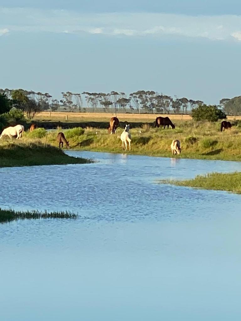 Lotes de 2500 metros entre lagunas, mar y arena blanca