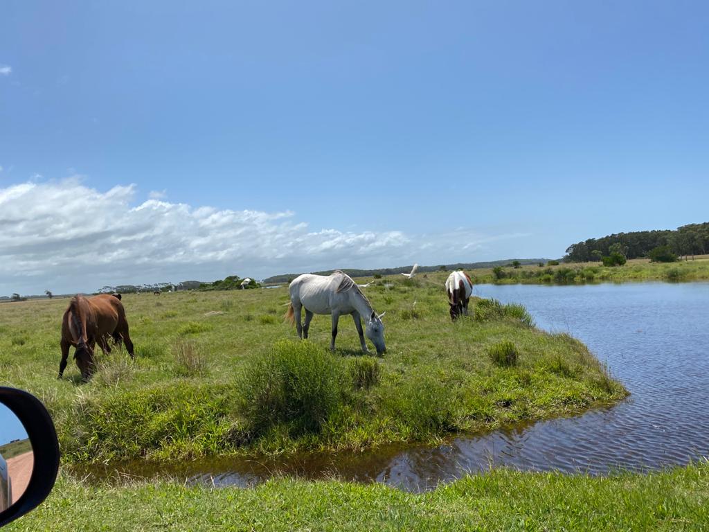 Lotes de 2500 metros entre lagunas, mar y arena blanca