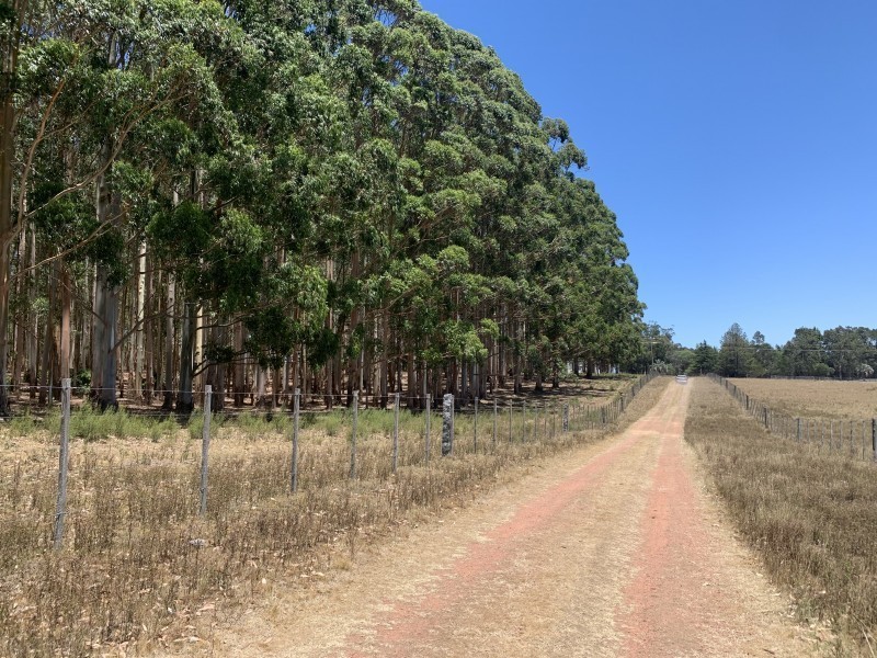 Tierra en zona de Ruta 104 en venta