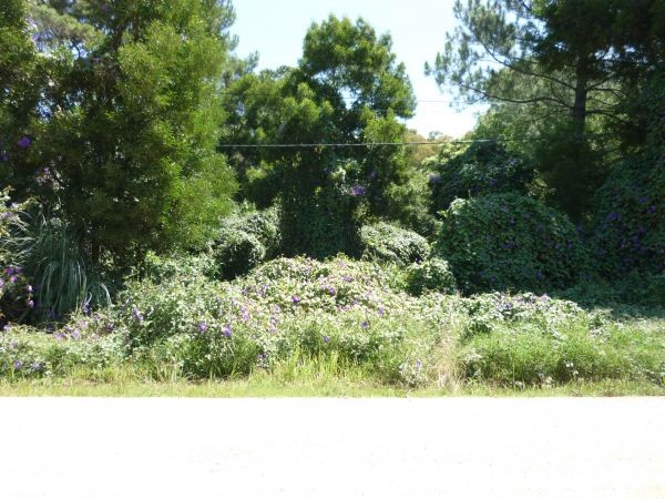Terreno en venta en Balneario Buenos Aires.