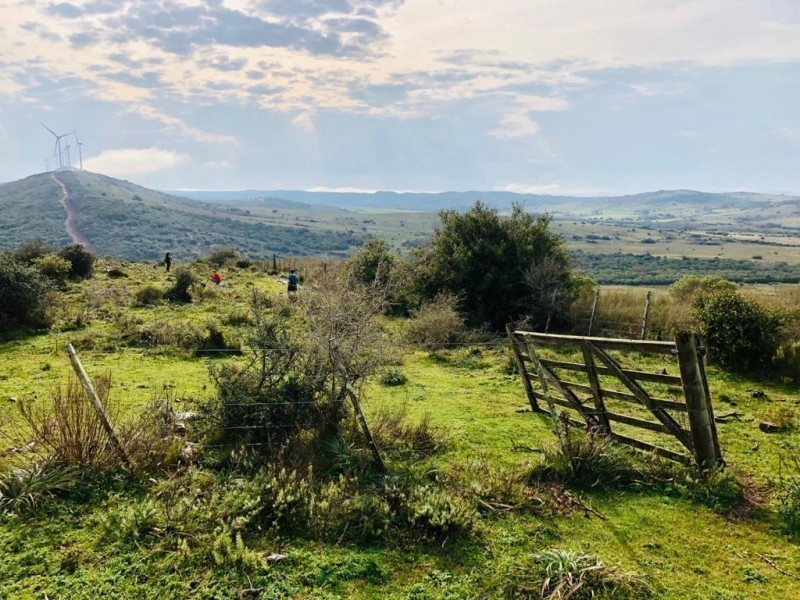 Chacra en venta Sierra de los Caracoles