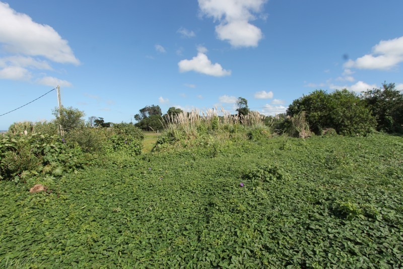 Lote en Altos de Punta Piedras con vista al mar