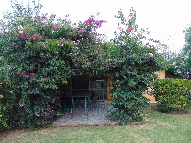 Casa en venta y alquiler en Balneario Buenos Aires.